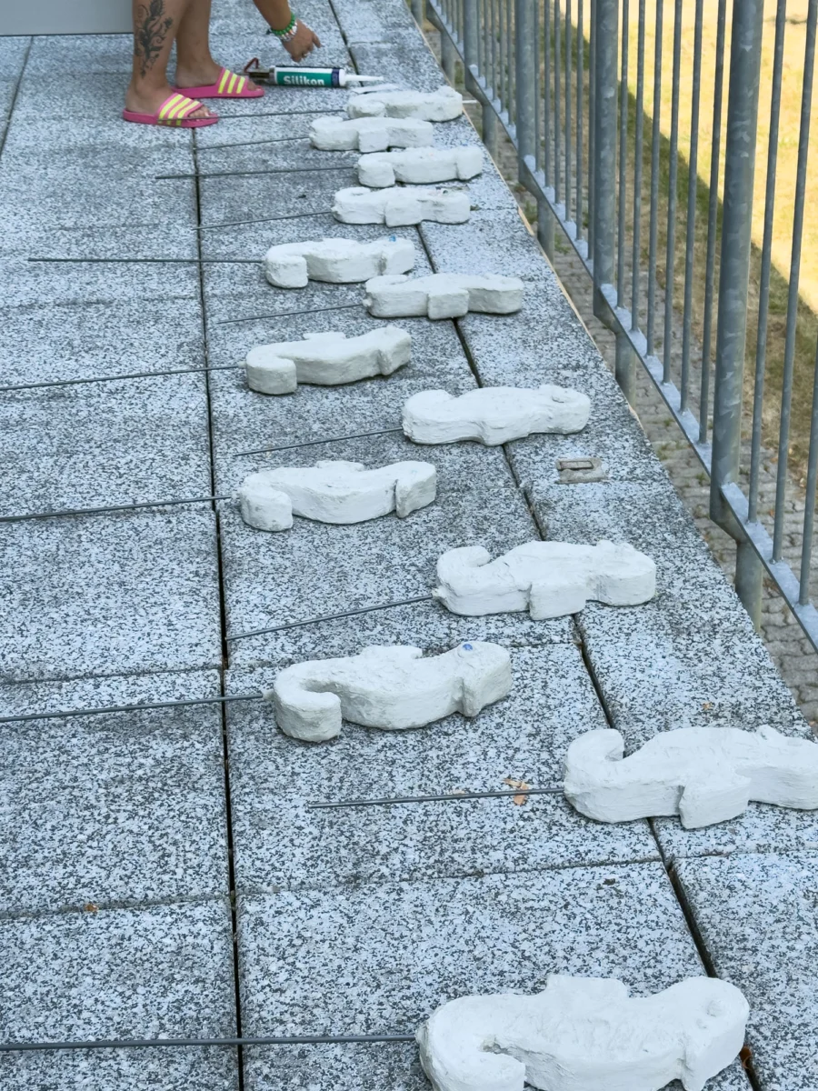 Aufstellung der Seepferdchen